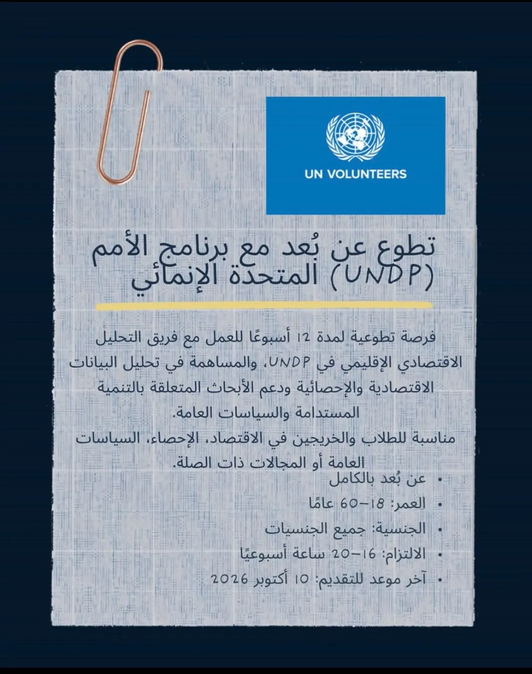Our post about Online volunteering with UNDP: regional economic analysis